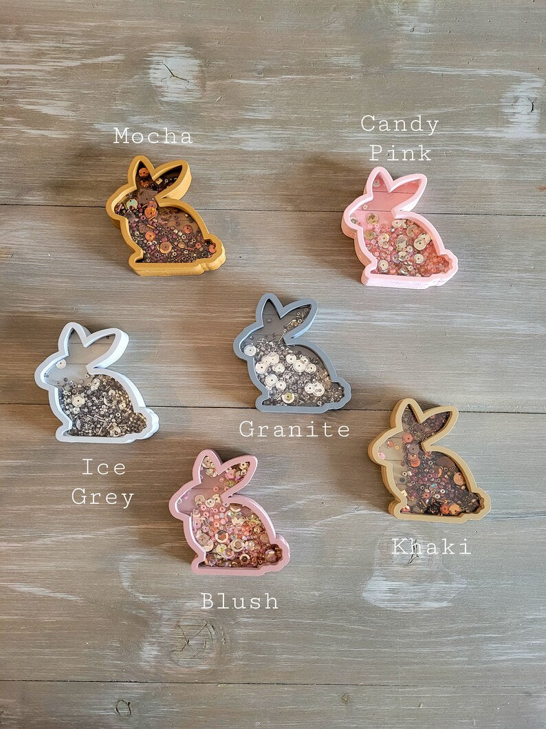 Easter Bunny Spring Mini Sprinkle Shaker Sign